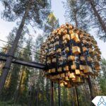 Experience the Magic of 350 Birdhouses in the Swedish Forest